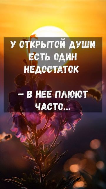 У открытой души есть один недостаток ... | Мудрые цитаты смотреть онлайн