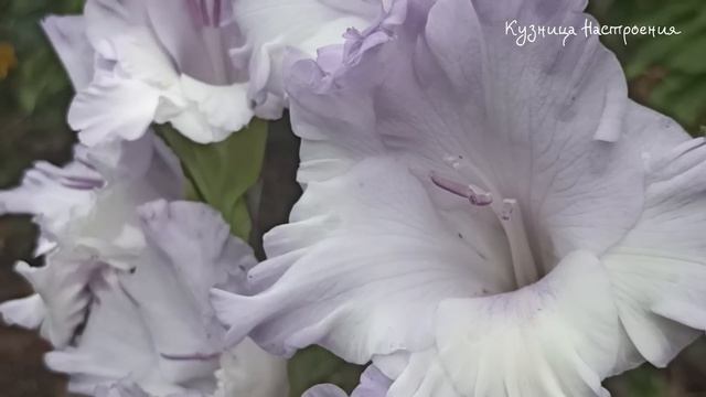 15 апреля Великий Вторник. Что нельзя делать 15 апреля В? смотреть онлайн