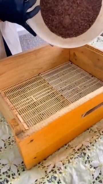 выбиваем пергу. #пчела #мёд #honey #bee #вкусно #акация #посы? смотреть онлайн