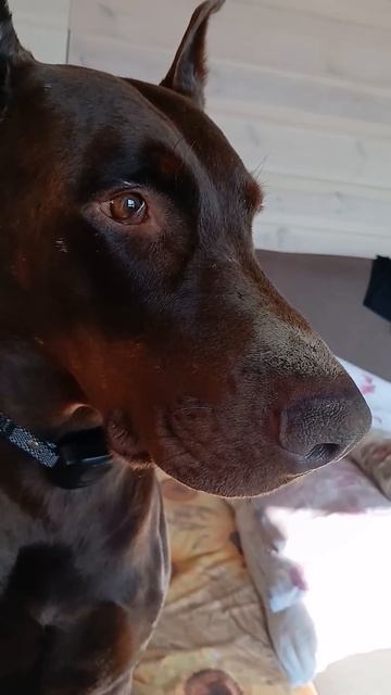 ЛЮ смотреть онлайн