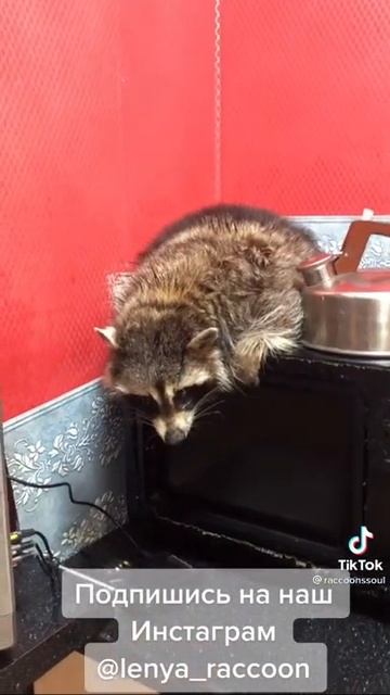 Захожу вода льется, и никто ничего не хочет/Испугался ? смотреть онлайн