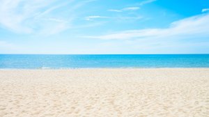 Клео и Кукин Титры На Сборник Рыжий и ТипТоп и Пингвин Лоло ТВ 2025 г.