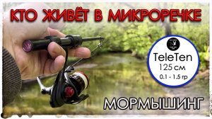 Кто живёт в микроречке. Мормышинг. TeleTen 125 (0.1 - 1.5 г)