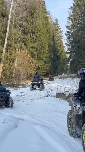 Квадрики в лесу  #atv #offroad #stels #snow #mud #winter #brp #aodes #stelsleopard #cfmoto