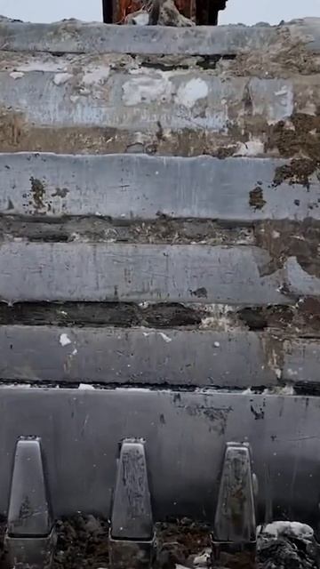 Вгрызаемся в зимний грунт. #shots #пермакультура #водныйб