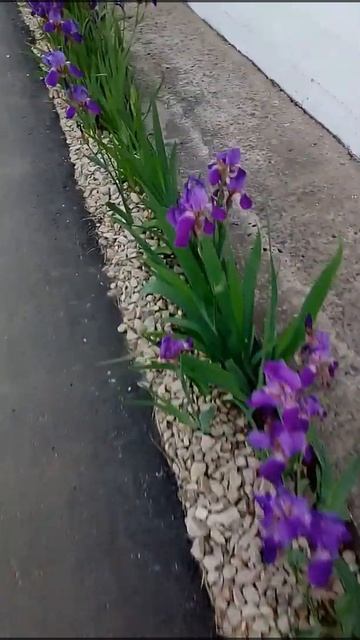 Такую красоту есть НЕЛЬЗЯ!🌸🌸🌸 смотреть онлайн