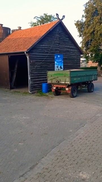 Уборка пшеницы #ферма #семейныйканал #украинцывгерман смотреть онлайн