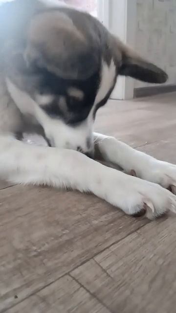 ест орехи смотреть онлайн