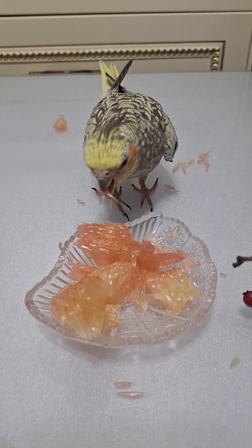 У каждого🦜есть собственные вкусы🍒🍊 и предпочтения смотреть онлайн