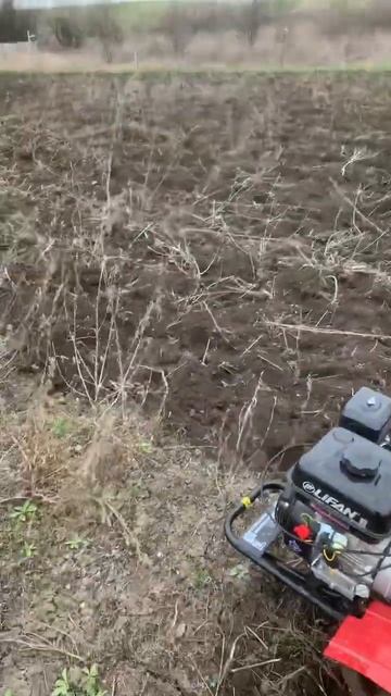 Готовим участок к посадке мурано смотреть онлайн