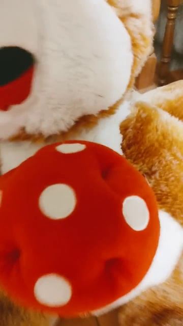 Вещь которая никогда не меняется смотреть онлайн