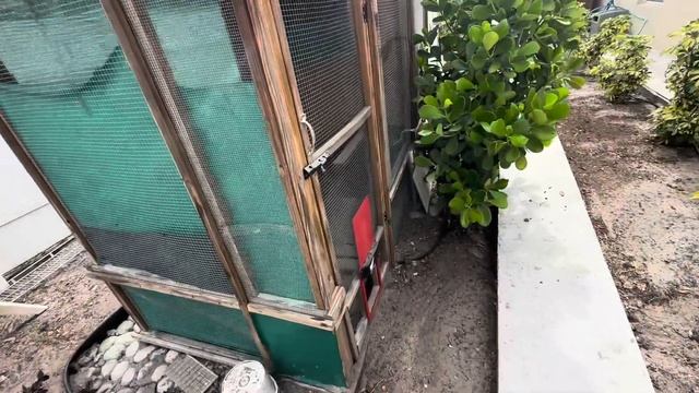 Флорида 🌴Душа болит и сердце плачет 🔴Это было мое ре смотреть онлайн