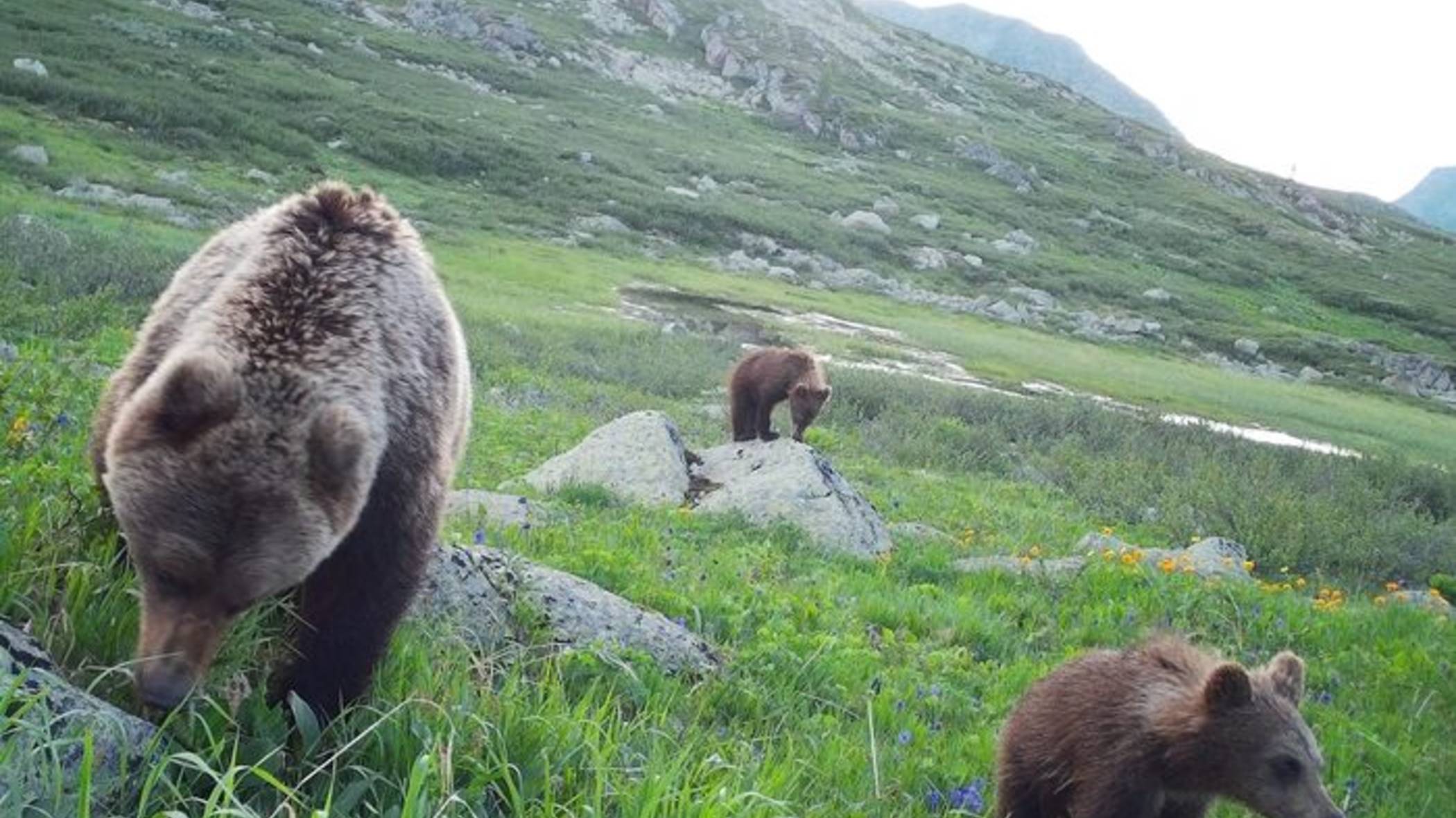 Двери в сказку смотреть онлайн