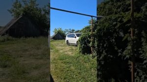 Розыск и изъятие лизингового автомобиля за долги.