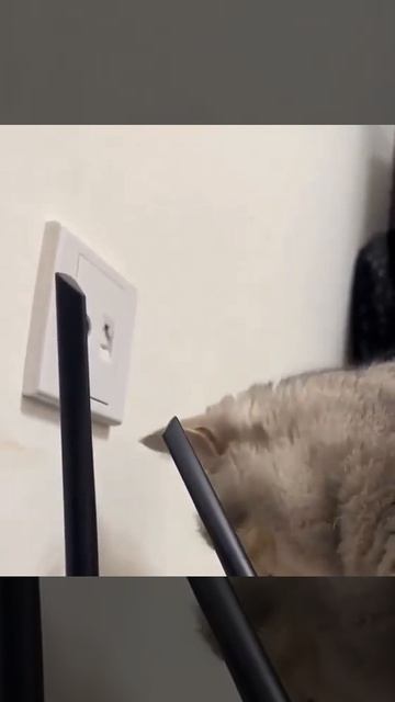 Была найдена причина отключения интернета по всей Москве. смотреть онлайн