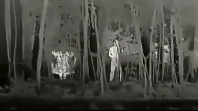 Сравнение качества маскировки бойцов в термомаскирующей накидке и без смотреть онлайн