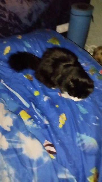 иди туда на уголок 18 Марта 2024 смотреть онлайн