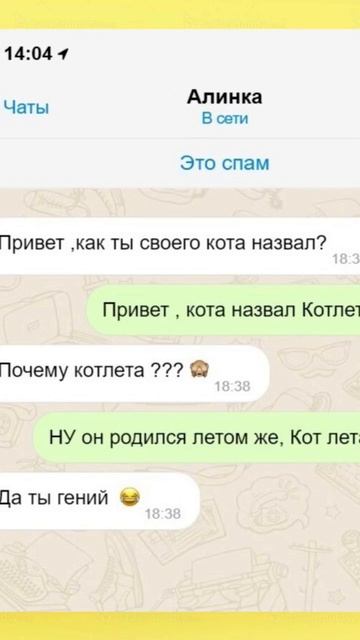 как ты назвал своего кота котлета #кот #животное #реки # смотреть онлайн