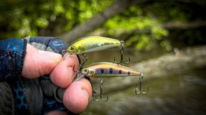 ДВА ВОБЛЕРА ВЫТЯНУЛИ РЫБАЛКУ / ОТКРЫТИЕ ПО ГОЛАВЛЮ 2025