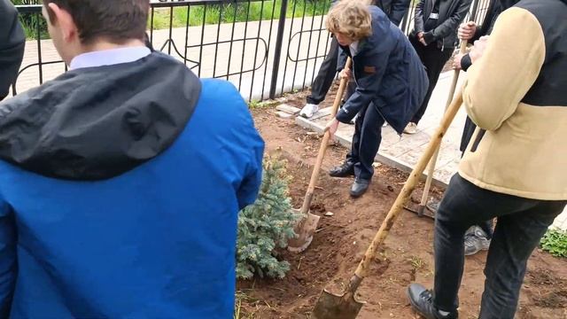 Памятная ель от выпускников 11а класса. смотреть онлайн