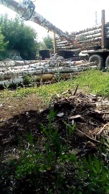 Чистая береза смотреть онлайн