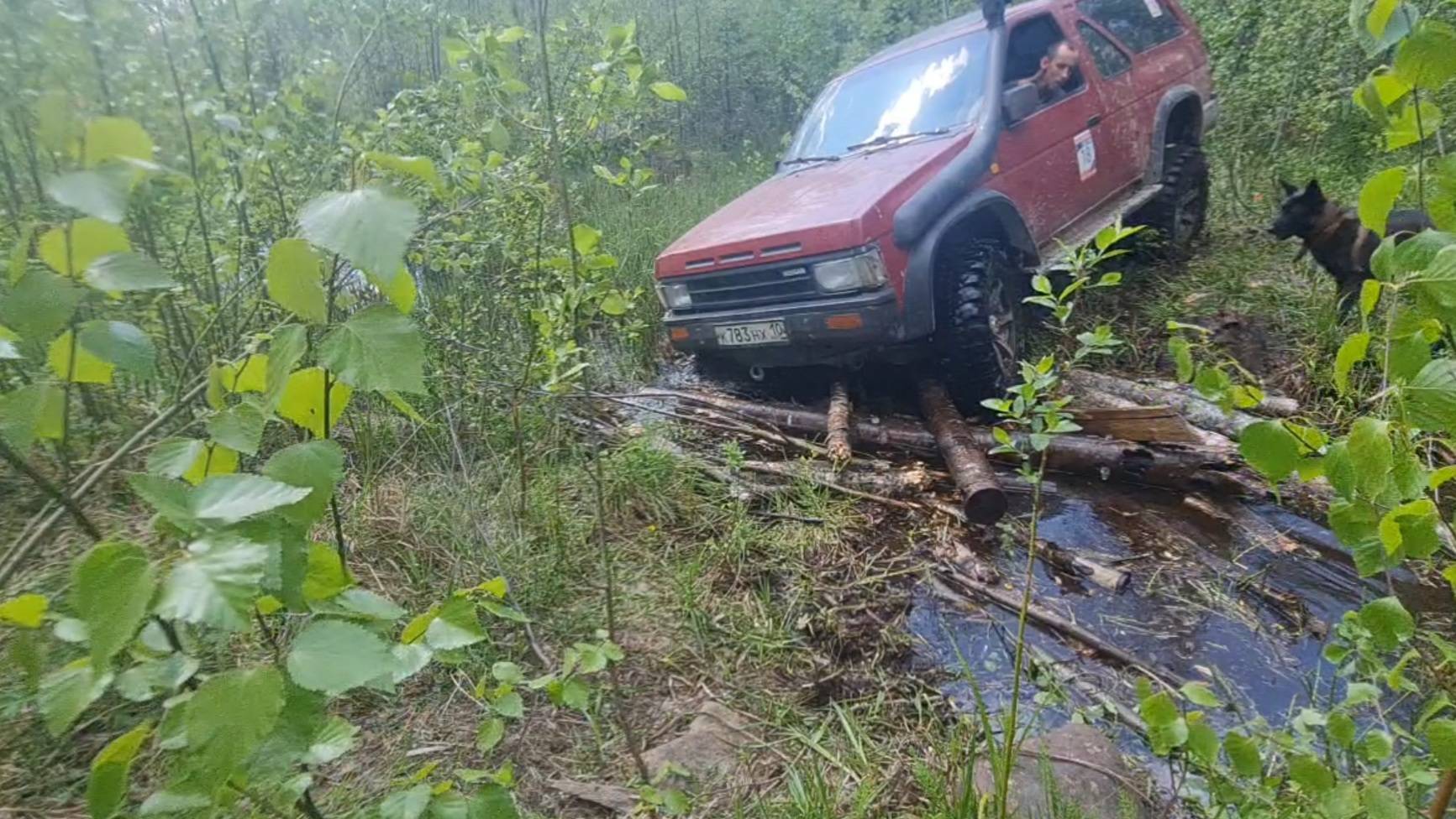 Открытие сезона металокопа в местах лесозаготовки 70 годов прошлогодняя разведка ужд смотреть онлайн