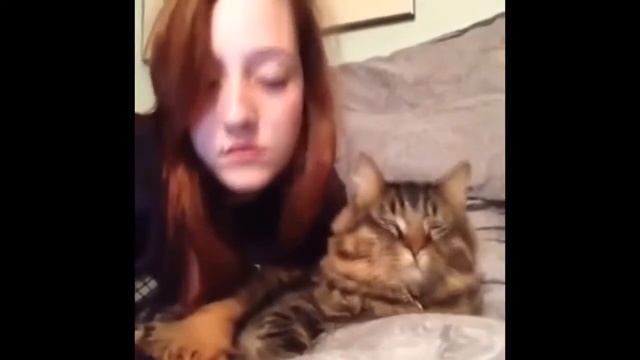 РЖАЧ САМОЕ СМЕШНОЕ ВИДЕО НЕДЕЛИ смотреть онлайн
