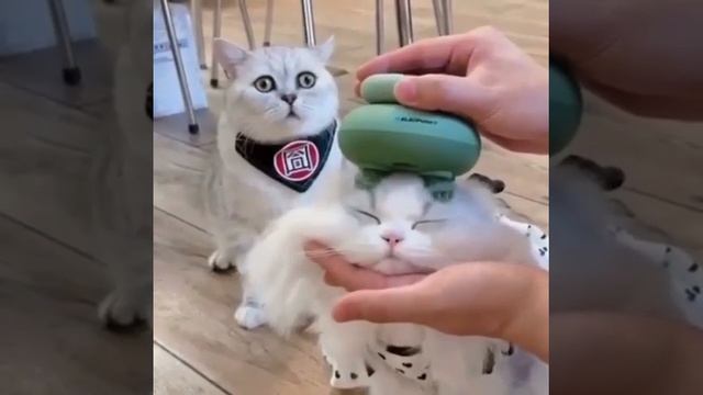 Почему он… на его месте должен быть я 😅 смотреть онлайн