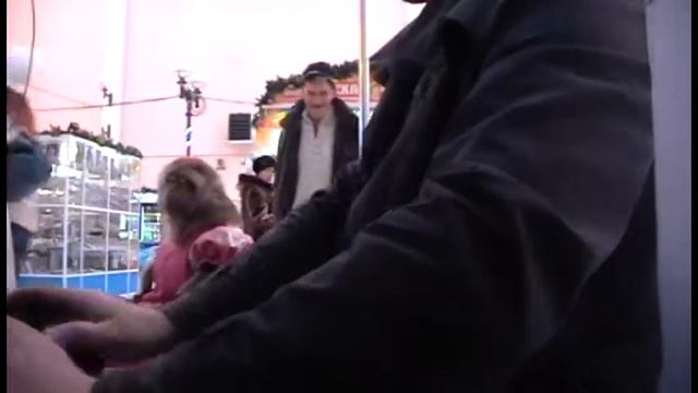 Пьянству - бой! смотреть онлайн
