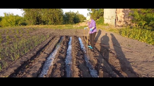 Грядки для помидор смотреть онлайн