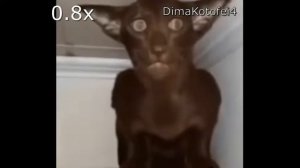 миша ты что пукнул? на разных скоростях + реверс