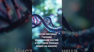Чистая матрица Горяева укрепление костей и суставов #?