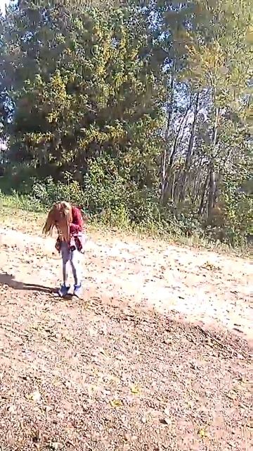 У лукоморья дуб зелёный с соняй смотреть онлайн