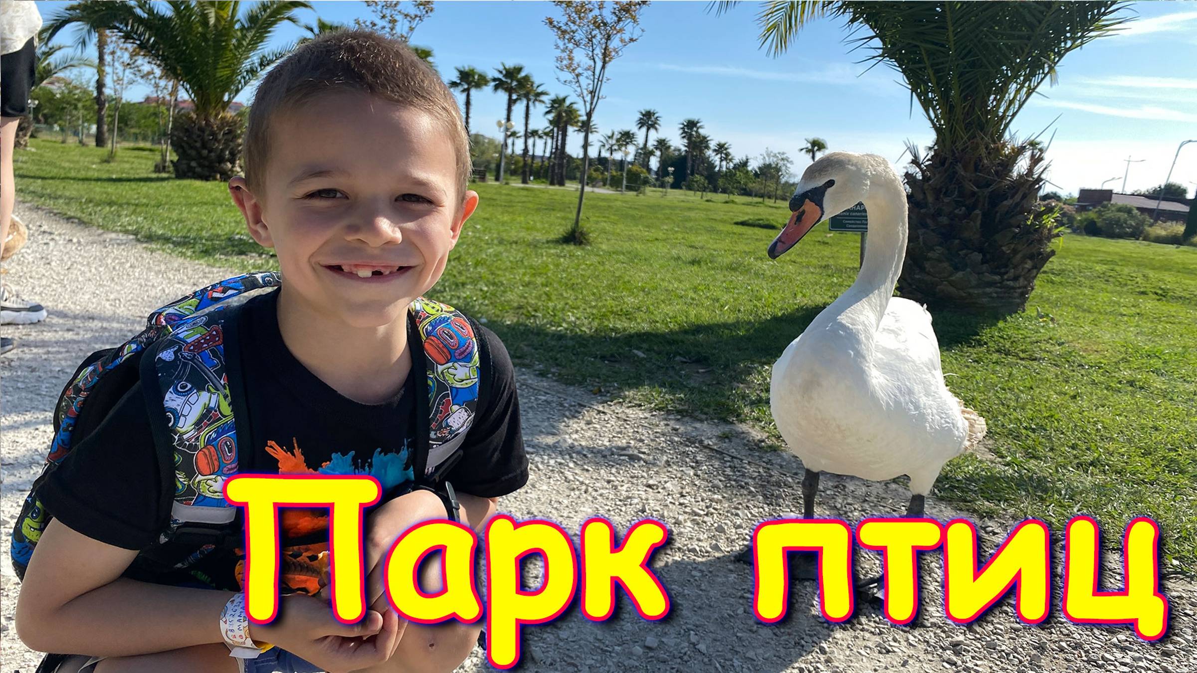 Москва, Сочи 2025. В орнитологическом парке в пгт Сириус. Гуси-лебеди. (05.25г.) Семья Бровченко. смотреть онлайн