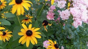 ИННА СУДАКОВА. ГДЕ 🔍 ДЕНЬГИ?