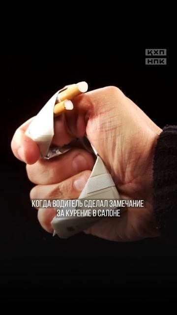 🚔 пассажир арестован и оштрафован на крупную сумму в смотреть онлайн