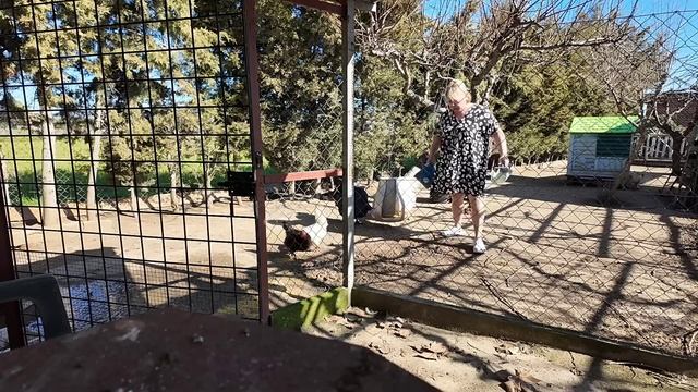 Не очень хорошие новости. Как узнала сразу хотела беж? смотреть онлайн