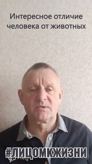 Интересное отличие человека от животных... смотреть онлайн