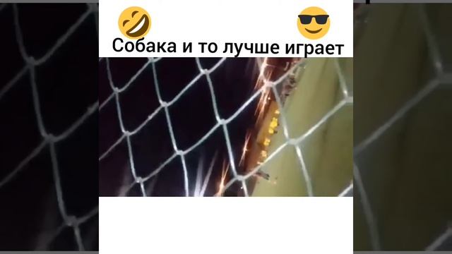 ГЛАД ВАЛАКАС - ДЖЕКИ ЧАН, ВИДЕО ПРИКОЛЫ 2018 ИСКРОМЕТНЫЙ ЮМОР смотреть онлайн