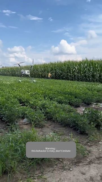 Борьба с дронами на плантациях с помощью палок!) смотреть онлайн