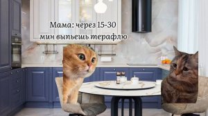 Мем Коты пов: заболела #мемкоты #мемы #коты #пов