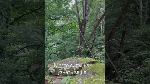 На нашей планете #земля действительно есть #местасилы смотреть онлайн