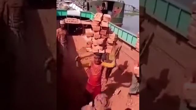 ВОТ НА ЧТО СПОСОБНЫ НЕГРЫ! смотреть онлайн
