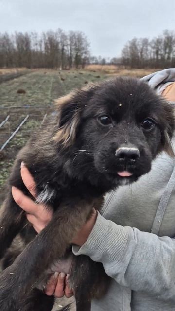 Краснодар! Москва! Санкт-Петербург! Девочка в поиске д? смотреть онлайн