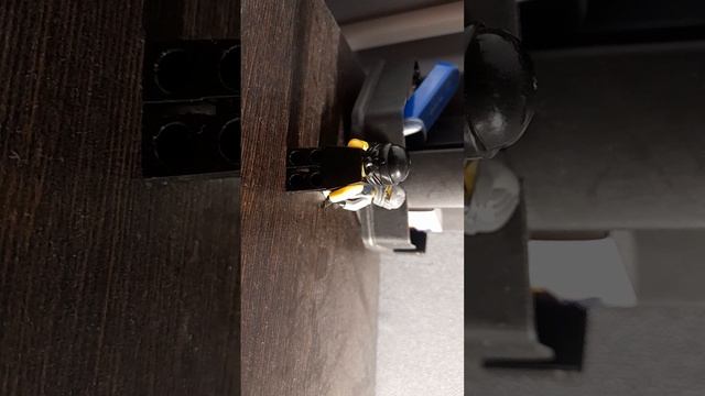 Возвращение амонг аса смотреть онлайн