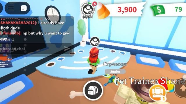 Адопт ми и у меня есть питомец смотреть онлайн