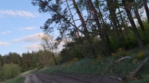 *ОСТРОВ ПРОКЛЯТЫХ* фильмы, ужасы, кино, фильм, смотреть онлайн, лучшие фильмы, новинки кино, зарубеж