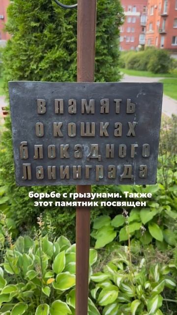 Памятник кошкам блокадного Ленинграда 📍ул. Композит? смотреть онлайн