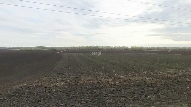 7684688 смотреть онлайн