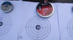 ЛУЧШИЕ ПУЛИ / КУЧНОСТЬ/СТРЕЛЬБА 100 МЕТРОВ И 50 МЕТРОВ /5.5 ММ /JSB/HN SPORT/ПНЕВМАТИКА/PCP ВИНТОВК